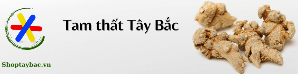 tim-hieu-tma-that-tay-abc-shoptaybac.vn