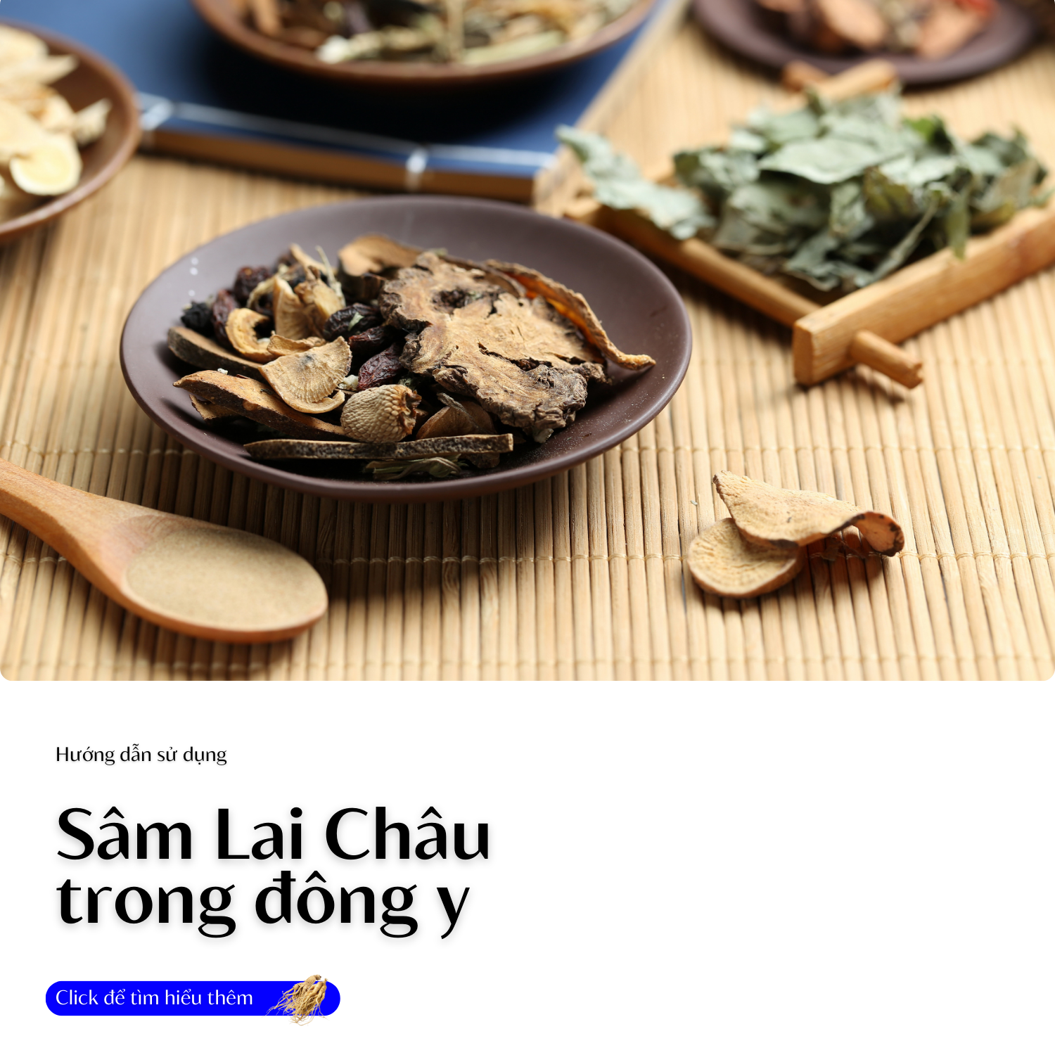 su-dung-sam-lai-chau-trong-dong-y