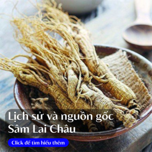 lich-su-va-nguon-goc-sam-lai-chau