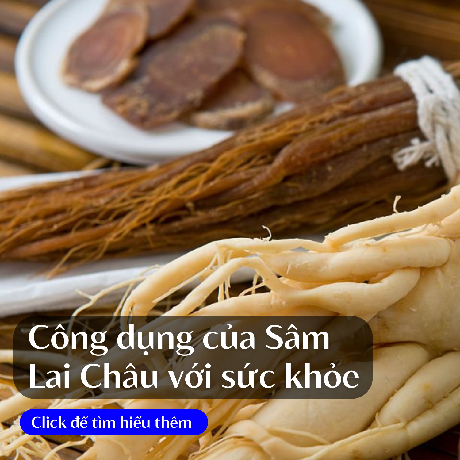 cong-dung-sam-lai-chau-voi-suc-khoe