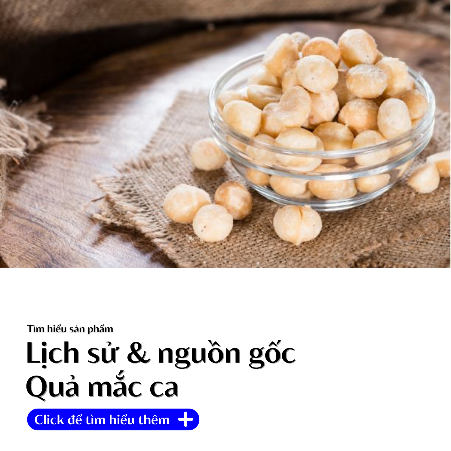 lich-su-va-nguon-goc-qua-mac-ca