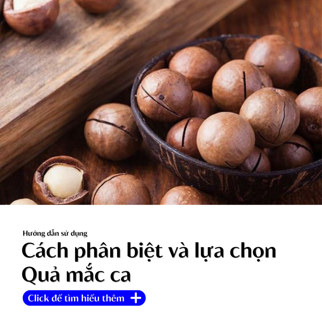 phan-biet-va-cach-lua-chon-qua-mac-ca