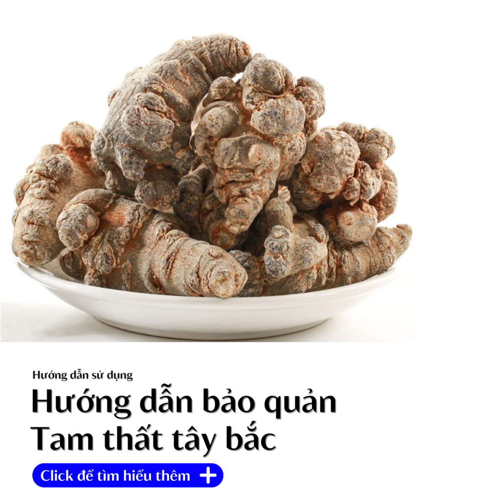 huong-dan-bao-quan-tam-that-shoptaybac.vn