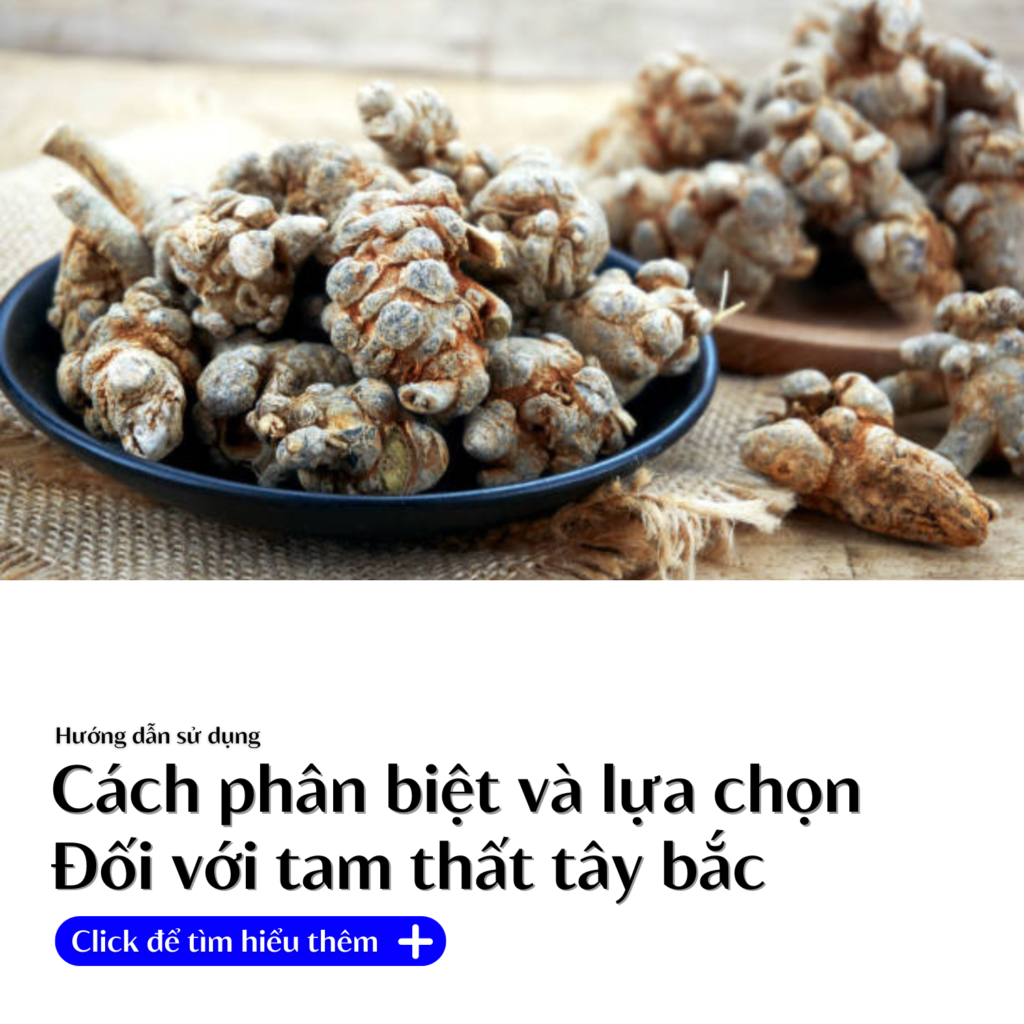 phan-biet-va-cach-su-dung-tam-that-shoptaybac.vn