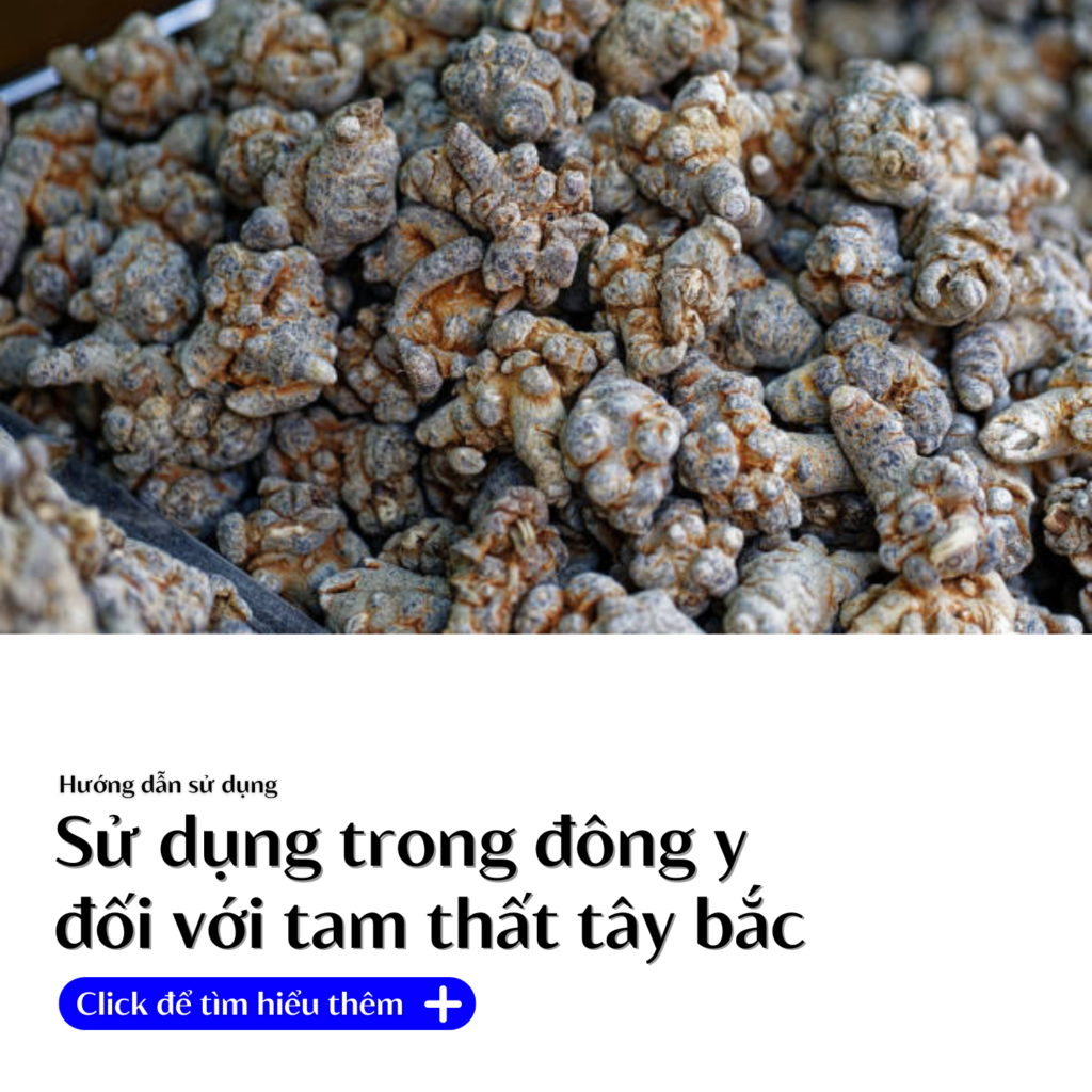 cong-dung-cua-tam-that-trong-dong-y