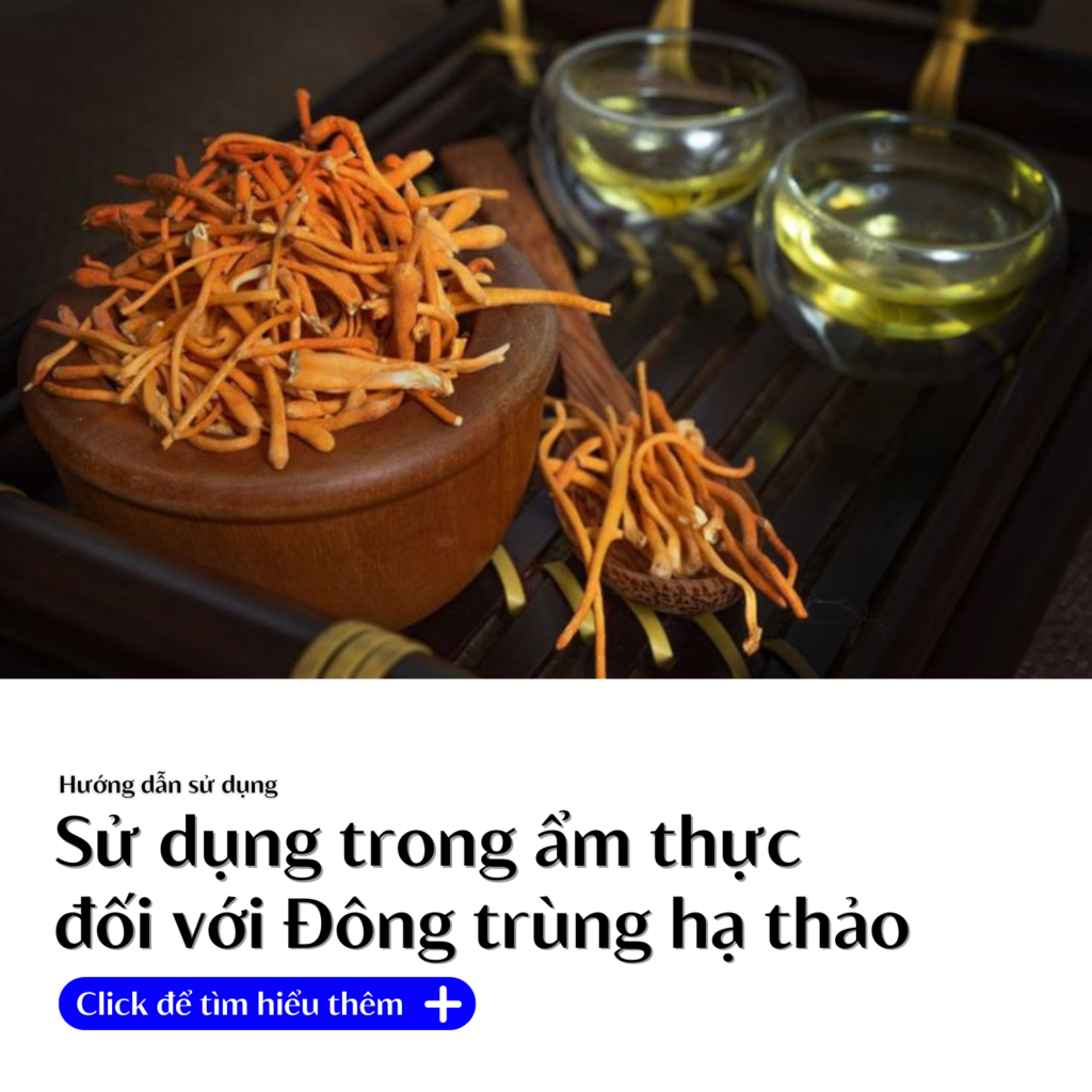 su-đungong-trung-ha-thao-trong-am-thuc-shoptaybac.vn