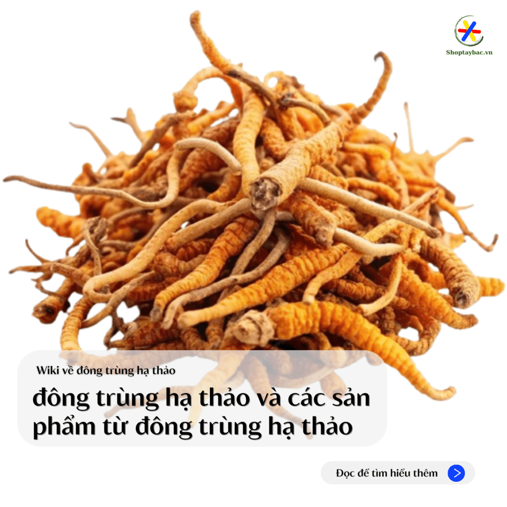 cac-san-pham-tu-dong-trung-ha-thao