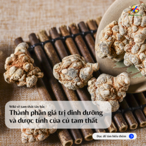 thanh-phan-dinh-duong-duoc-tinh-cua-cu-tam-that